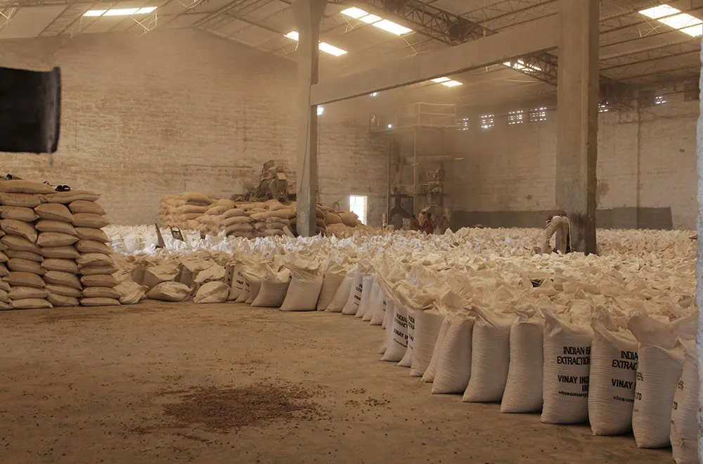 Top Quality Raw White Sesame Seeds 100% Natural Sesame Seeds