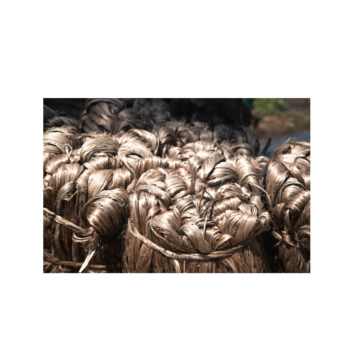 Best Quality Direct Factory Supply High Grade & Low Price 100% Natural Raw Jute Color Moisture 100% Natural Raw Jute