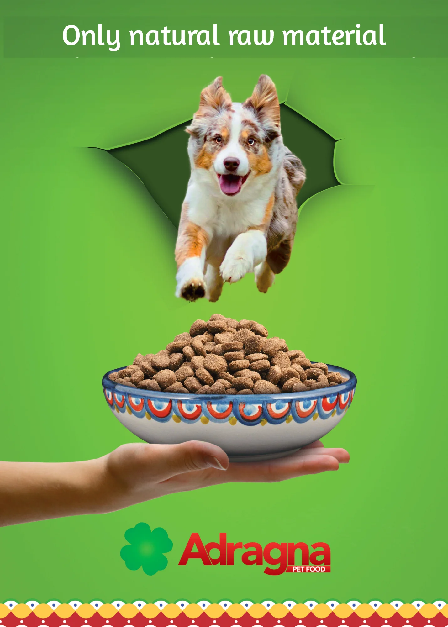 Italian Products Flavour Dry Dog Food Pork Citrus Suited for Large Adult Dogs 12kg