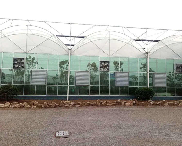 Agricultural Greenhouse  Venlo Glass Agricultural Green house shade green house for plants/vegetable/flowers