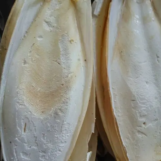 % 100 сушеные Каракатица кости-кальциево-богатые пищевые катля рыбы BONE100 натуральный шелк/Ms Деми + 84 961 733 400