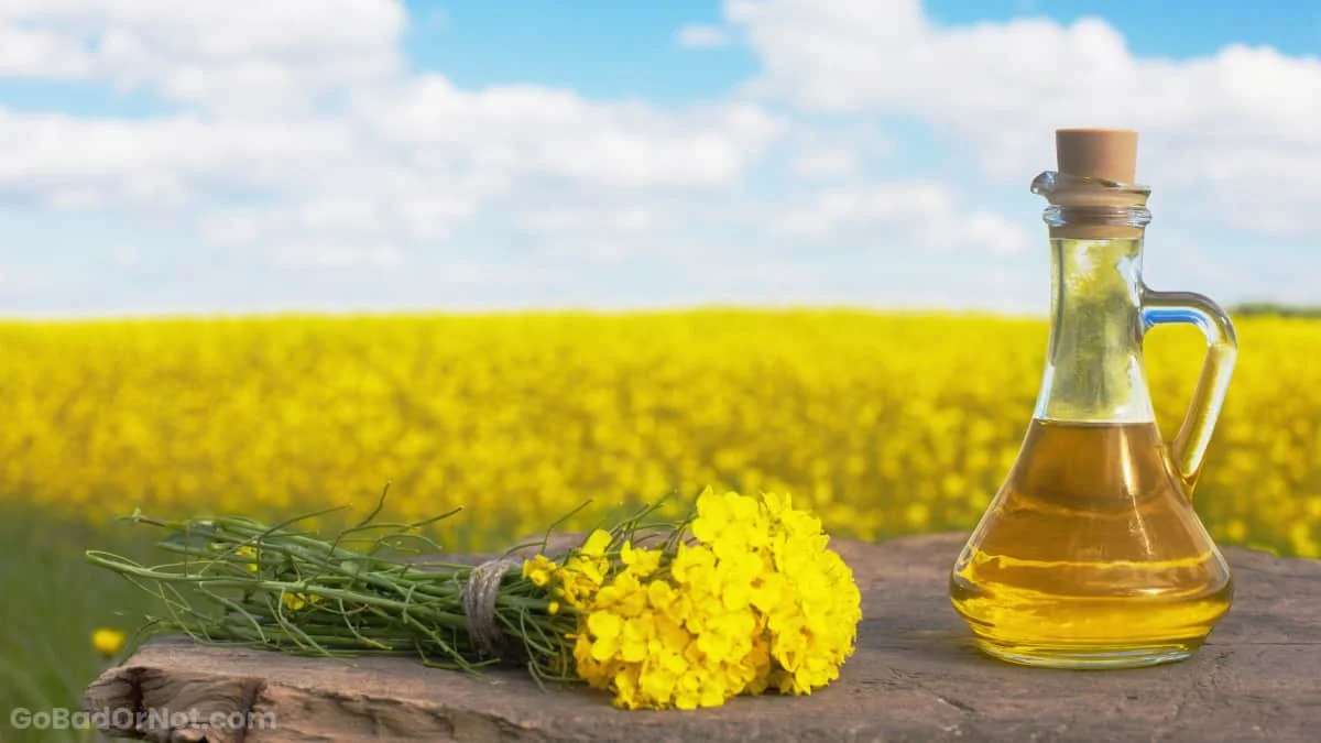 Необработанное рапсовое масло растительное бутылка рапсового