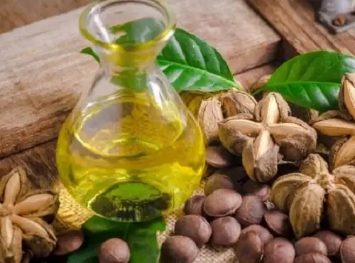 Export Agricultural Products Sweet Taste  Baked Hard Texture Sacha inchi Used as food  Mary