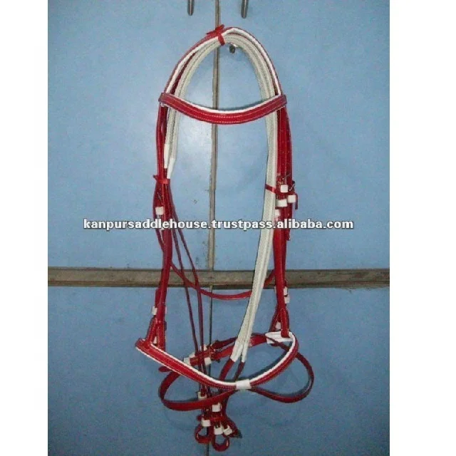 HORSE REIN & BRIDLE.