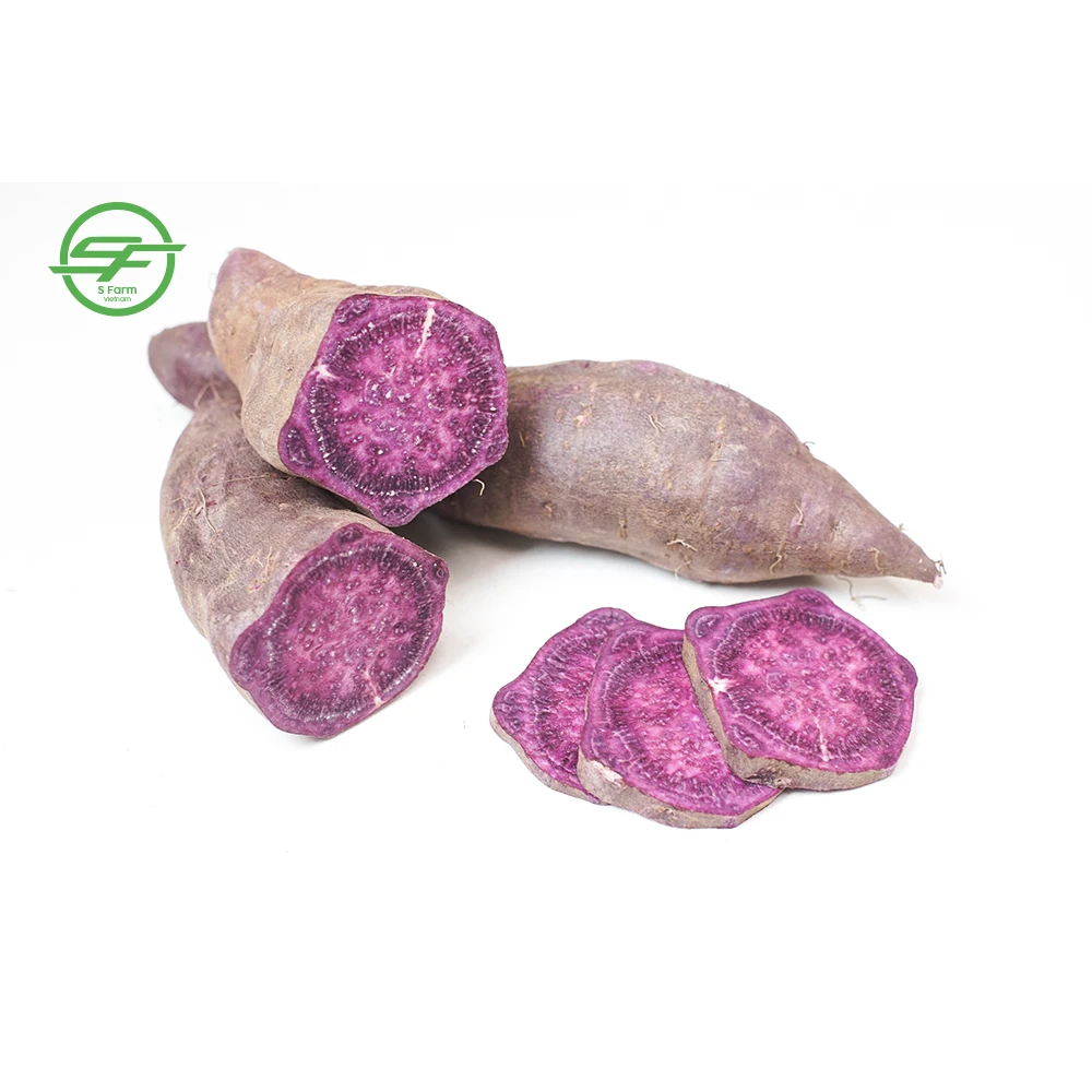 High quality fresh Organic sweet purple potatoes from Vietnam(Whatsapp/zalo/wechat: +84 912 964 858)