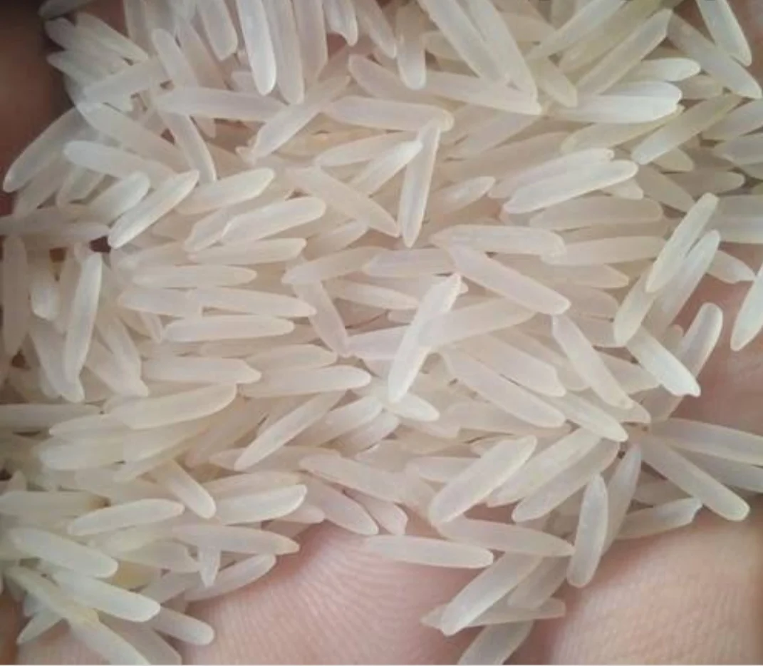 
Indian long grain pure 1121 white sella Basmati Rice 