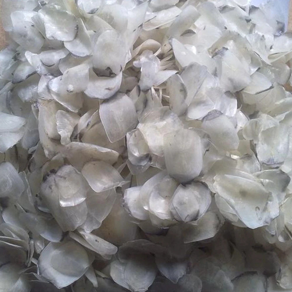 
Dried Fish Scales Dry Scales Dry Fish Scale Fish 