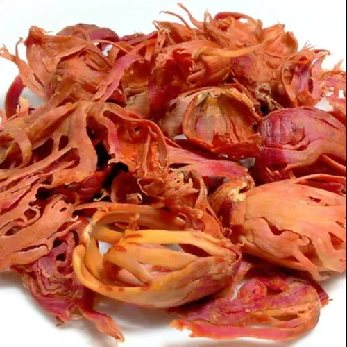 Mace- Without Flower