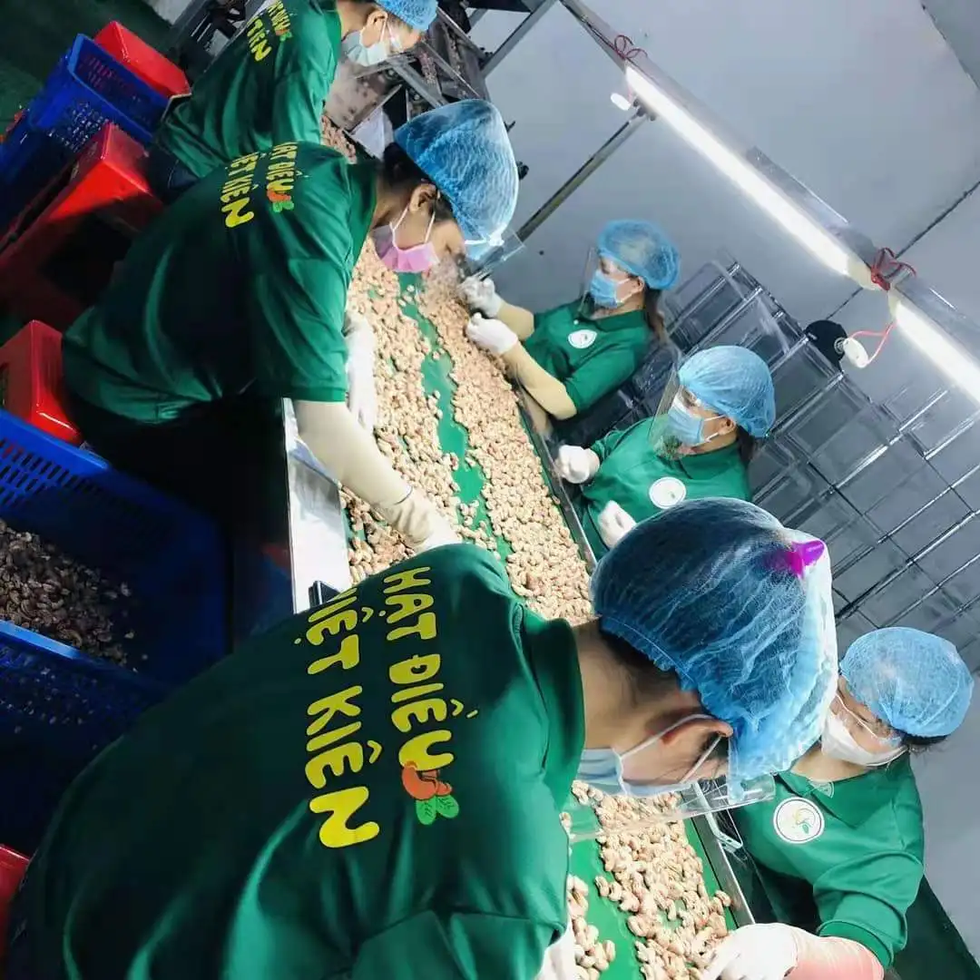 VIETNKIEN roasted cashew A180