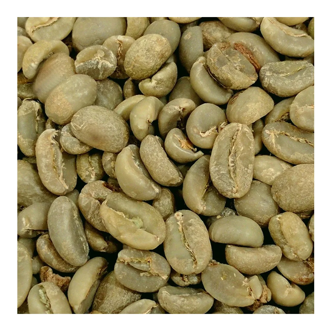 
Manufacture Products Roasted Organic Bolsas Para Cafe Coffee Mix Green Coffee Bean Arabica Roasted Ground Arabia Coffee COMMON 