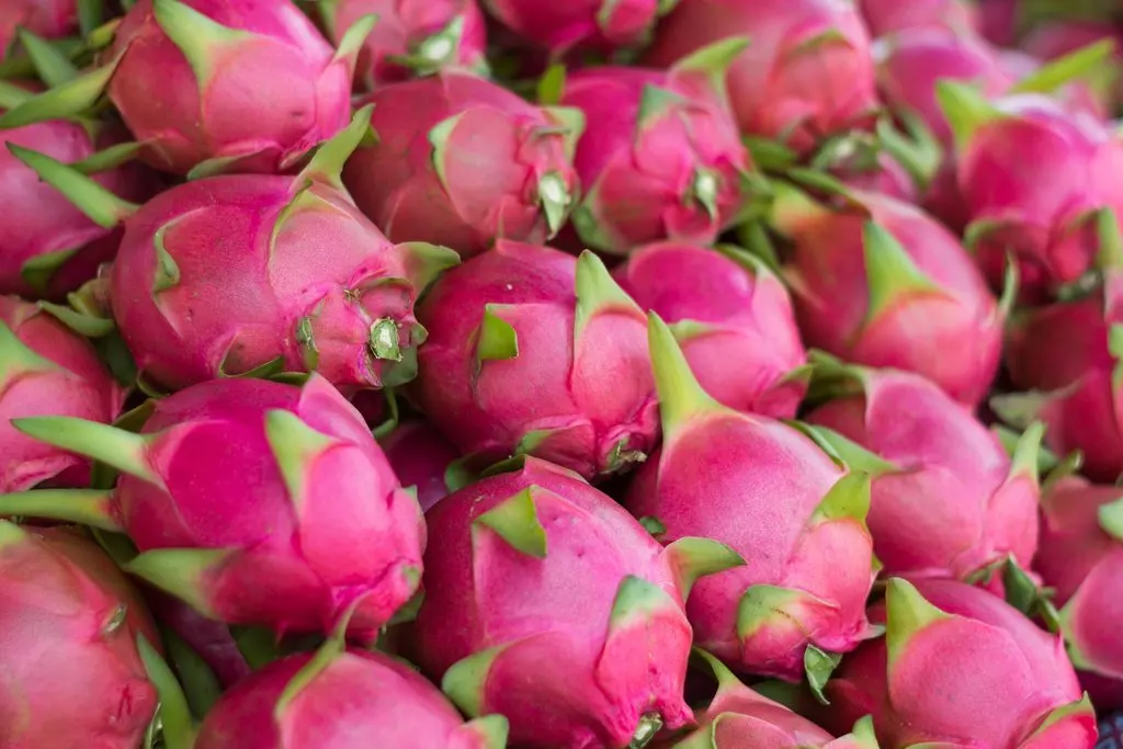 FRESH DRAGON FRUIT IS SOLD TO TRADER IN INDIA +84 348130861