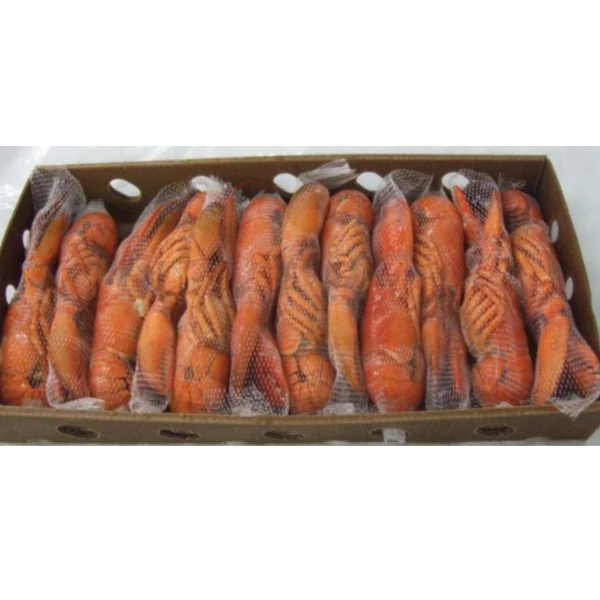Wholesale Price of Natural Frozen Lobster Live Lobster and Frozen Lobster Tail