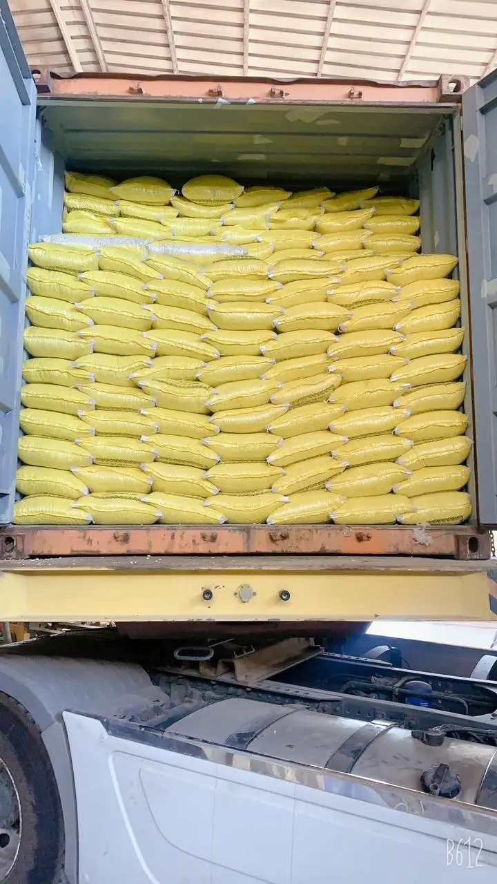 
Top Grade Peanut Nutritious Red Skin Peanut Egypt Origin Top Grade Peanut 