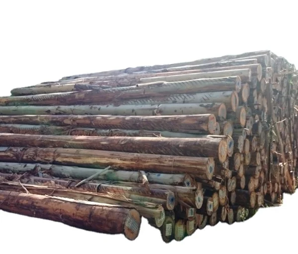 EUCALYPTUS LOGS