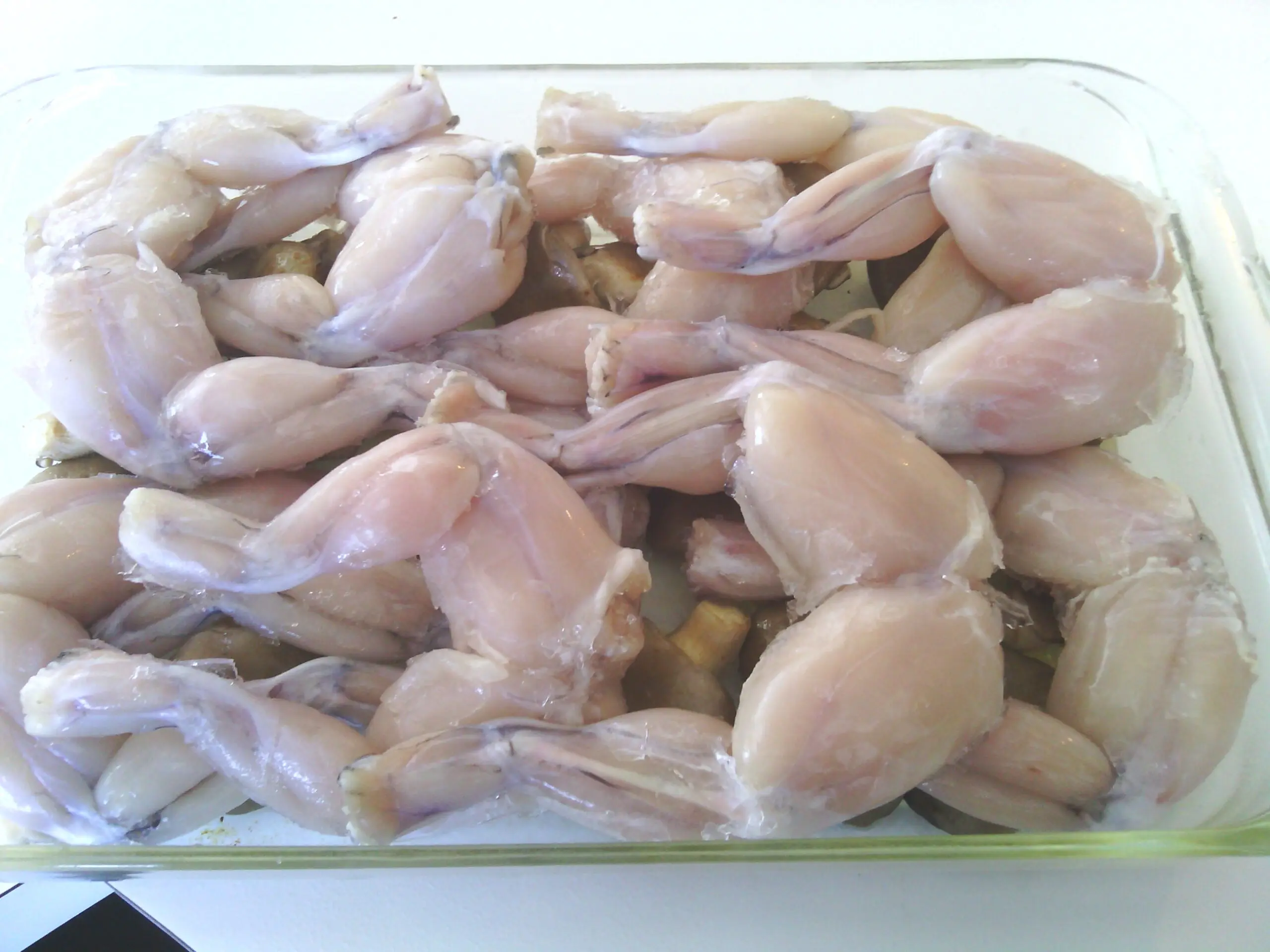 FROZEN Bull Frog Bulk Style Packaging at wholesale prices