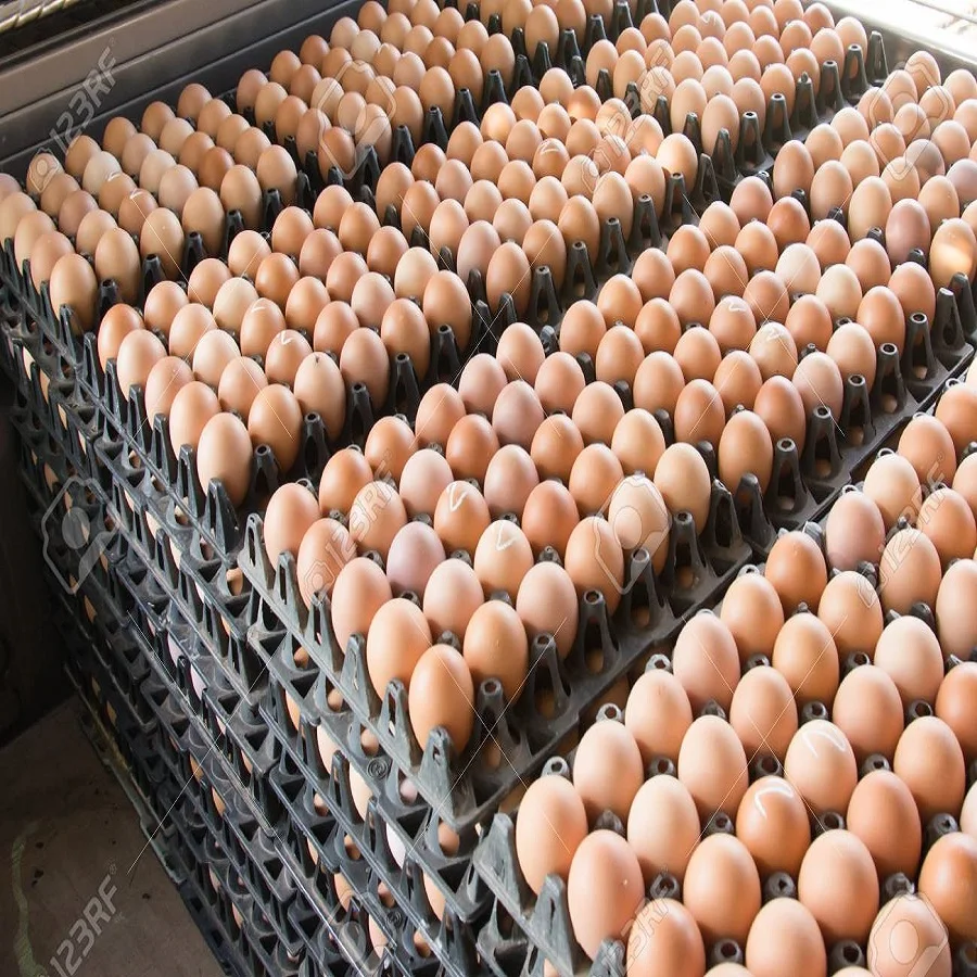 White and Brown Chicken Eggs Fresh Food