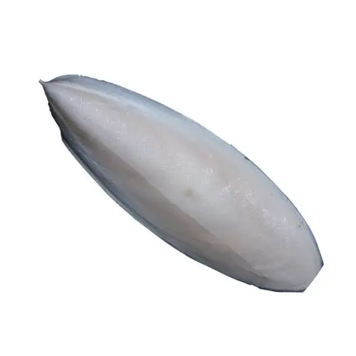 Sepia Powder/ Premium Cuttlefish Bone Powder/ Natural Sepia Bone Powder Ms.Lucy  84 929 397 651