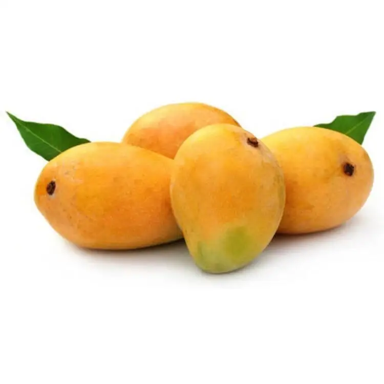 Fresh Organic Mangoes