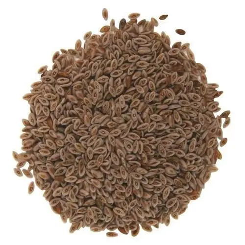 Best Quality Psyllium Seeds (Isabgoal Seeds)