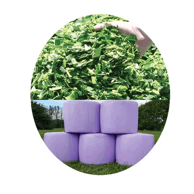 Силаж кукурузы-высшее качество из Пакистана/Лучшая цена на рынке