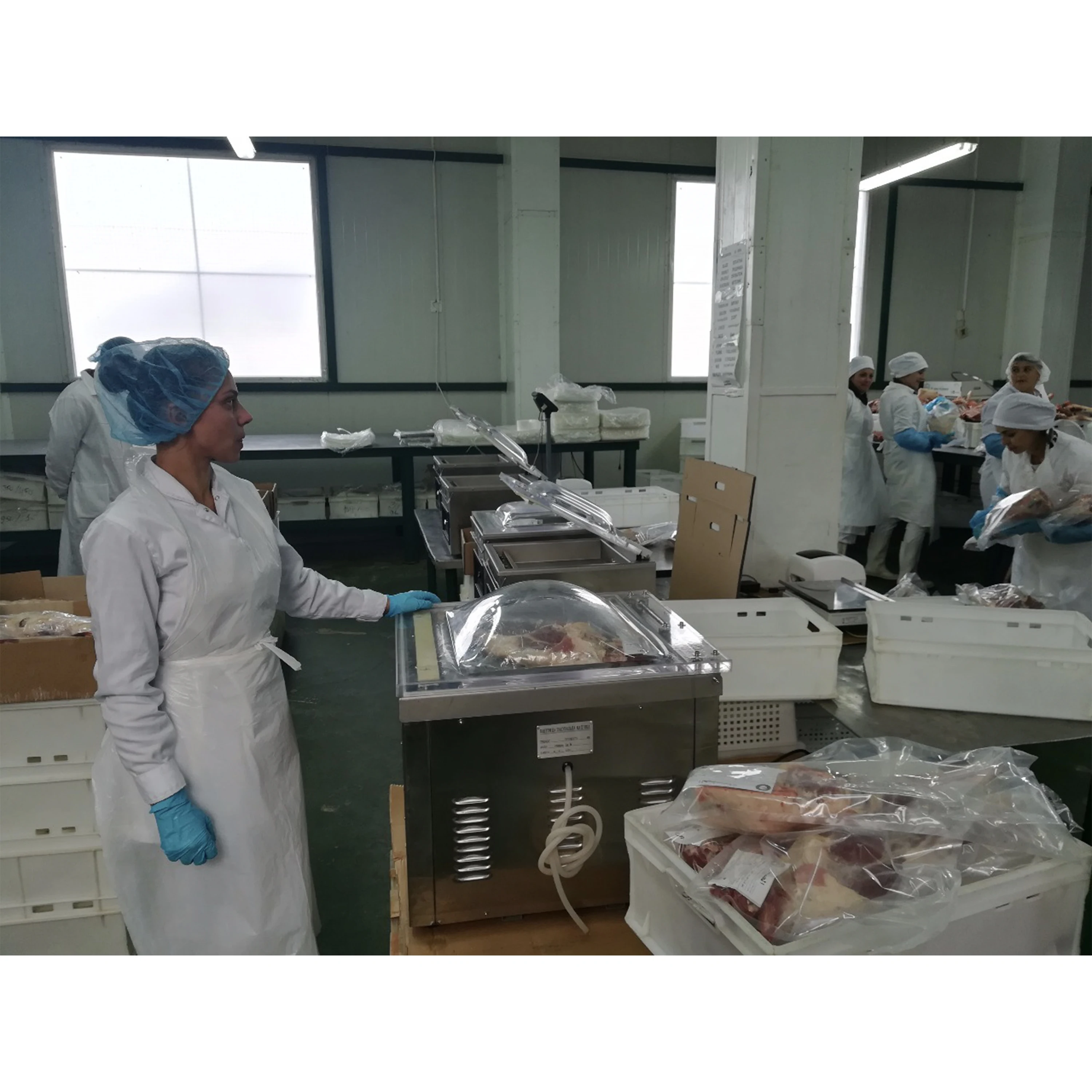 Frozen Halal Striploin Beef boneless meat from Ukraine