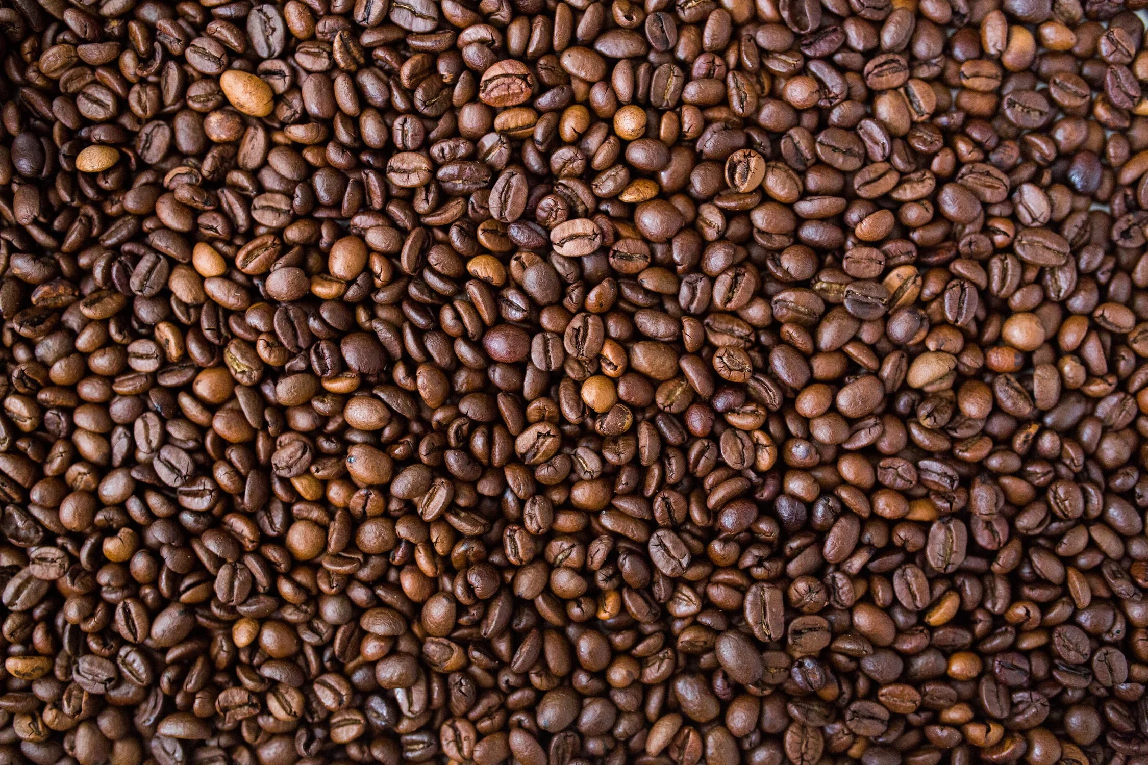 CUSTOMISED Premium Quality Coffee bean PRIVATE LABEL Blend Made in Italy 80% Arabica 20% Robusta full bodied intense aroma