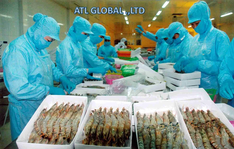 ATL GLOBAL - HLSO VANNAMEI SHRIMP WITH HIGH QUALITY FROM VIETNAM ( Whatsapp: +84975262928, Helen)
