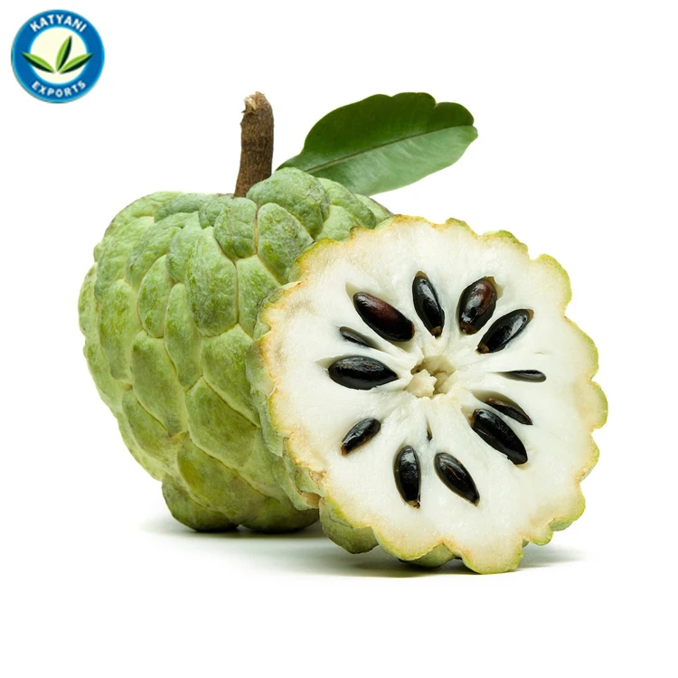 Oil Seed Wholesale Bulk Price 100% Organic Custard Apple Seed Oil