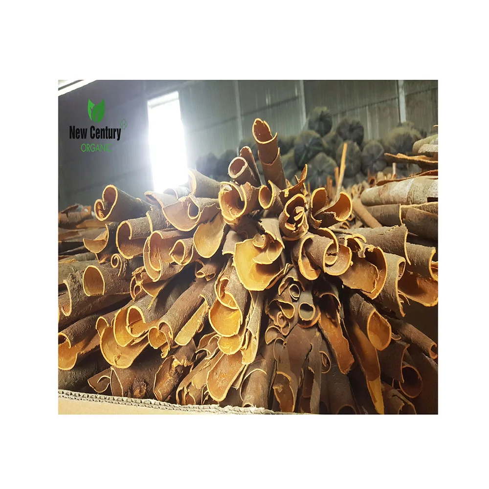 Premium Yen Bai quality Vietnam Split Cassia/ Cinnamon - HOT 2022