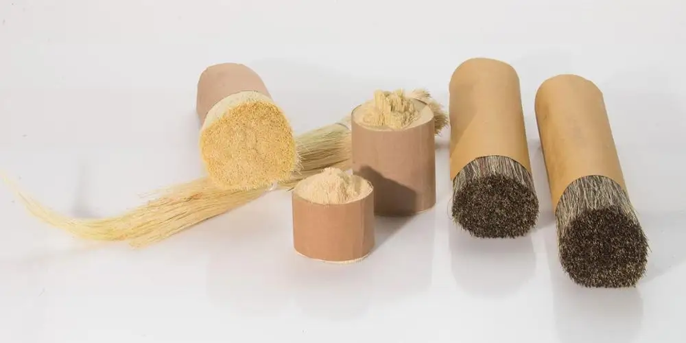 
Mexico Tampico Natural Tampico Fiber For Brush Making 