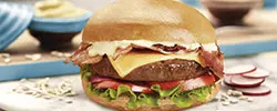 Immagine-Panino-Hamburger.jpg