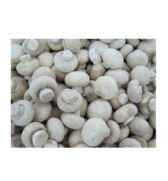 Top Grade Wholesale Fresh And White Frozen Mushroom For Sale In Cheap Price