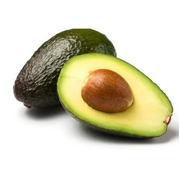 Fresh Avocados top quality now available for export markets