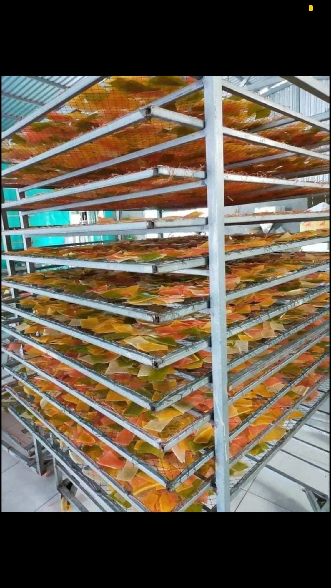 High Quality Shrimp Chips Snack Prawn Cracker White or Prawn Crackers Colored