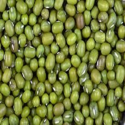 NEW  green mung bean