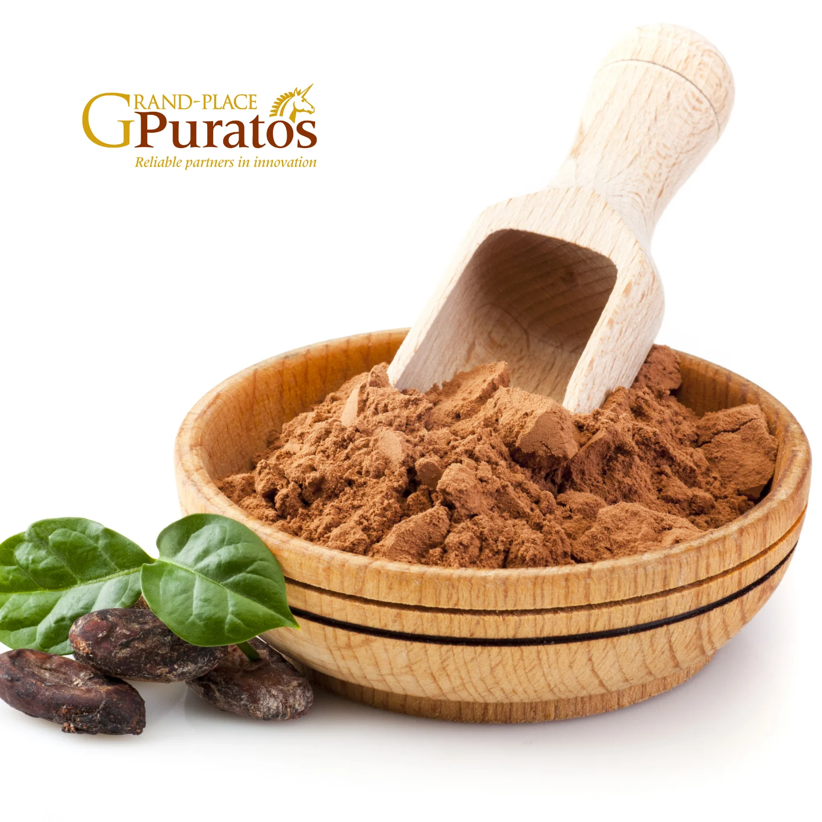 Low fat 100% pure raw cocoa powder with best price