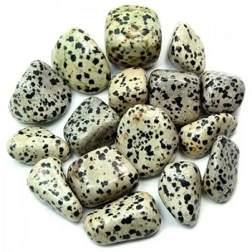  DALMATIAN TUMBLED POLISHED NATURAL FOR REIKI AND ENERGY CRYSTAL HEALING