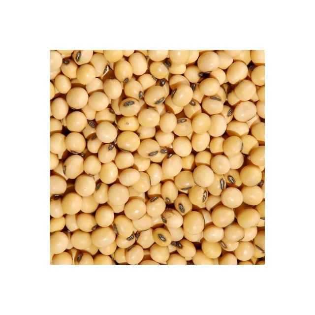 
Organic non-gmo Soyabeans for sale 