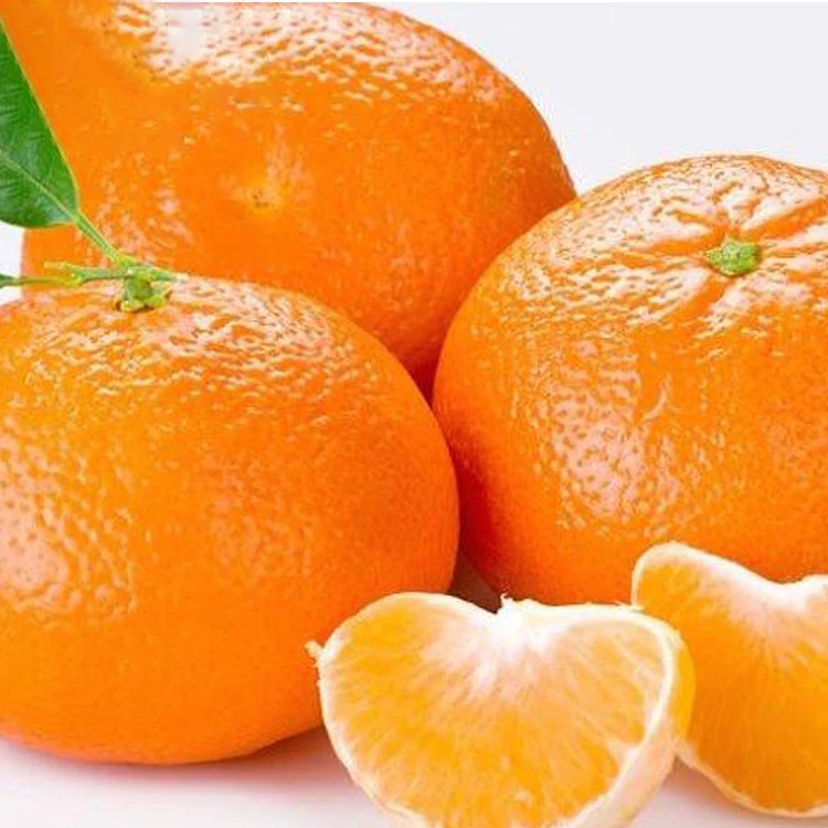 Sweet Full Juicy Mandarin Orange, Special Offer for Russian Buyers