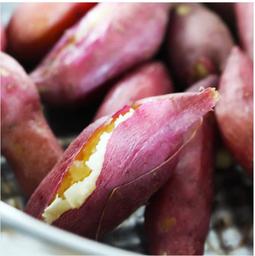  Экспорт продукции // японский сладкий картофель мед из Вьетнама для оптовой продажи только $1/ Ms Sofia + 84 789946878