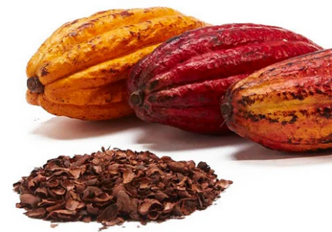 Wholesale Cocoa Beans Shell, Cocoa Pod Husk Harvested In Highland Region Vietnam