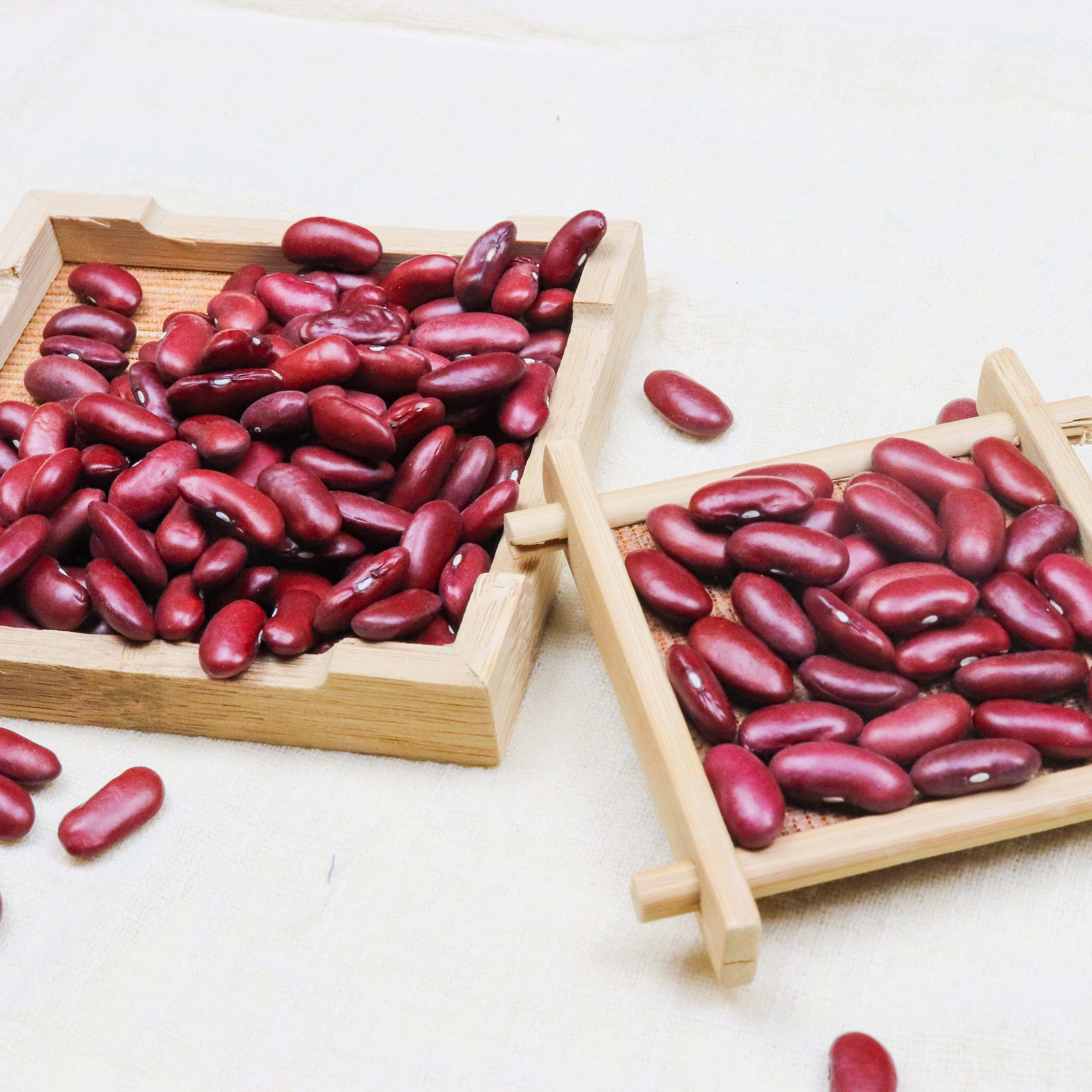 
High Quality speckled light, Red, Black & White Kidney Beans 