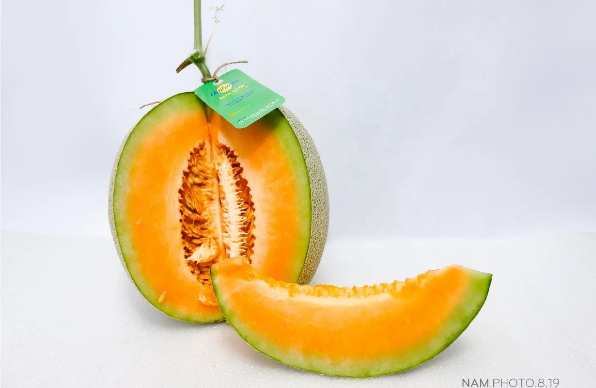 Unifarm Fresh Cantaloupe Type Muskmelon made in Vietnam