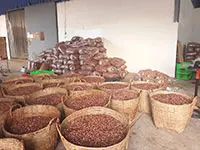 Орошенные соленые орехи кешью W320