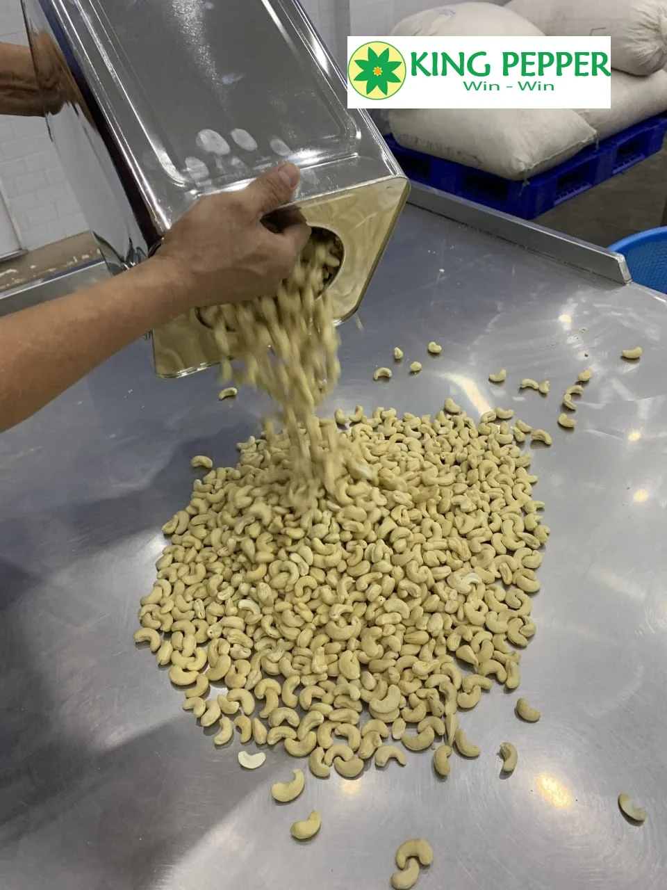 VIETNAM CASHEW NUTS GOOD PRICE -PREMIUM QUALITY KING PEPPER FACTORY | Ms Lynn +84 86 998 1238