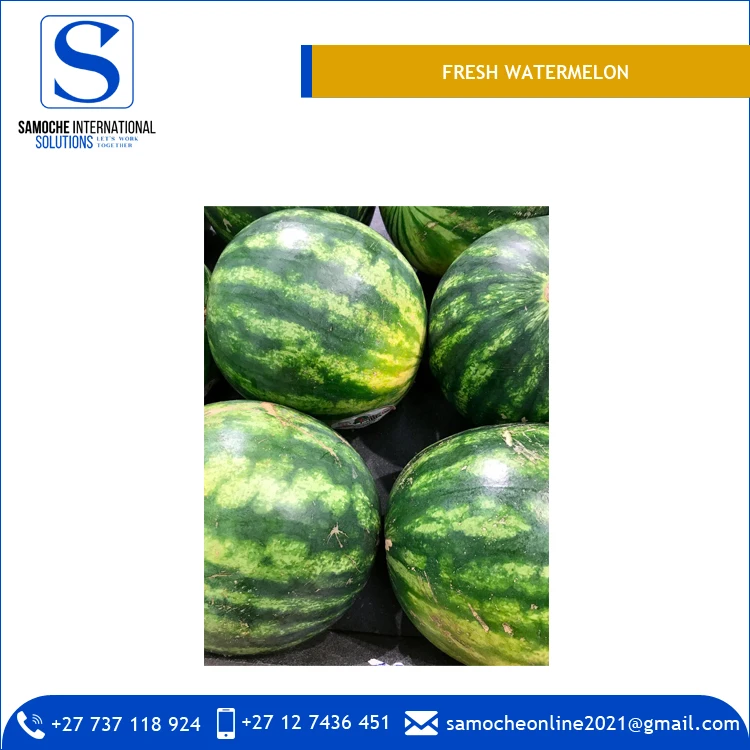 
Delicious Taste Premium Quality Bulk Fresh Watermelon from South Africa 