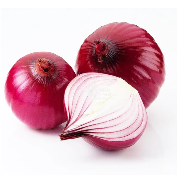 
 Red Onion Best Quality Cheap Price  