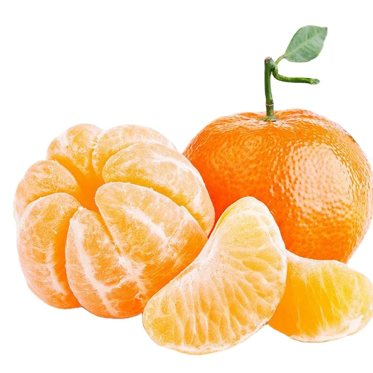 Whole sale  Best Fresh Mandarin Orange With Top High Quality