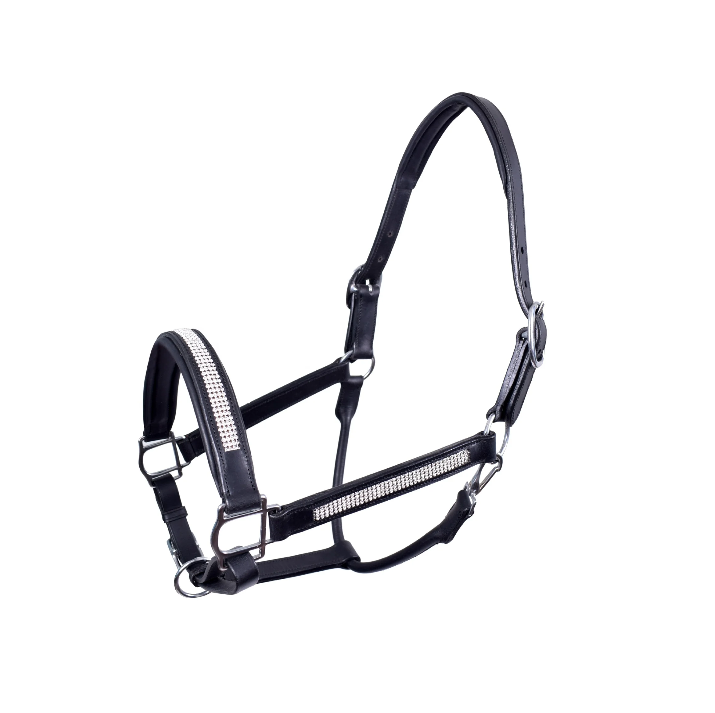 Colorful Padded Leather Luxury Style Horse Halter Head Collar