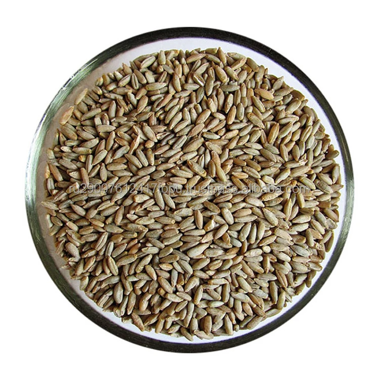 Уникальный «живой» источник питания категории 1-4 rye, который поддерживает и восстанавливает здоровье оптом, зерно rye